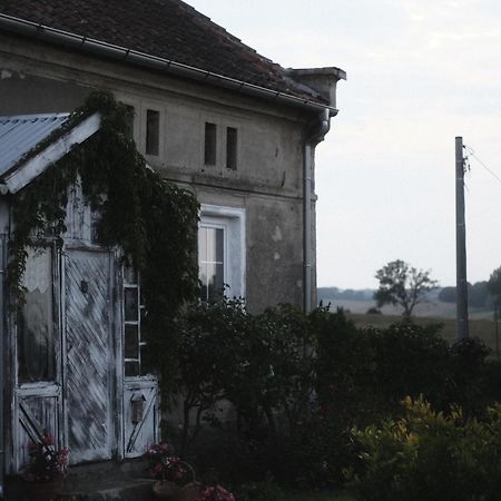 Miejsce Mocy Mazury Apartamento Kolno  Exterior foto