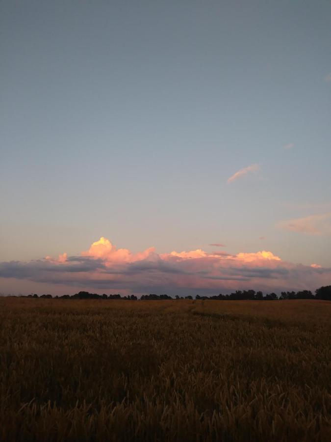 Miejsce Mocy Mazury Apartamento Kolno  Exterior foto