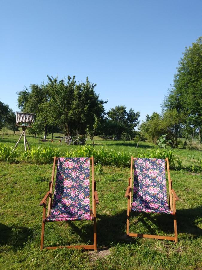 Miejsce Mocy Mazury Apartamento Kolno  Exterior foto