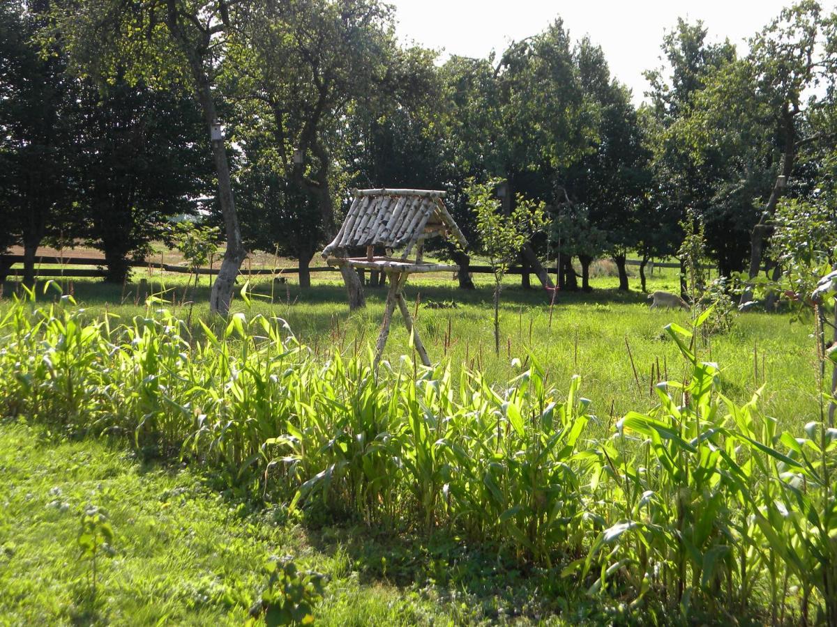 Miejsce Mocy Mazury Apartamento Kolno  Exterior foto